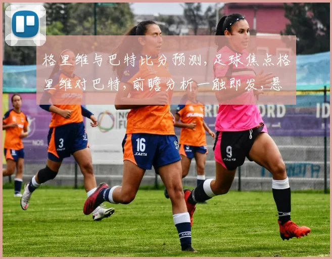 格里维与巴特比分预测,足球焦点格里维对巴特,前瞻分析一触即发,悬念重重