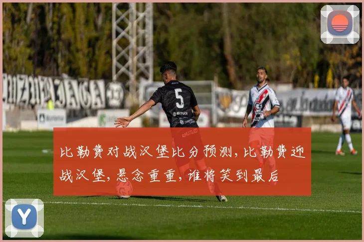 比勒费对战汉堡比分预测,比勒费迎战汉堡,悬念重重,谁将笑到最后